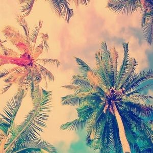 Meet your Posher, Hind